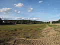 Čeština: Břeh vypuštěného Holoukovského rybníka. Okres Rokycany, Česká republika. English: Bank of dry Holoubkovský Pond, Rokycany District, Czech Republic.