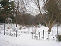 Garden in winter