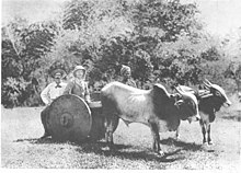 Sanderson und Prinz Albert Victor in Mysore, 1890