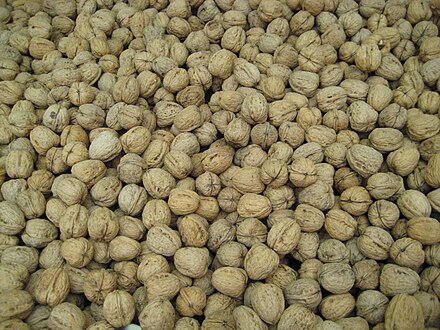 The shells of walnuts