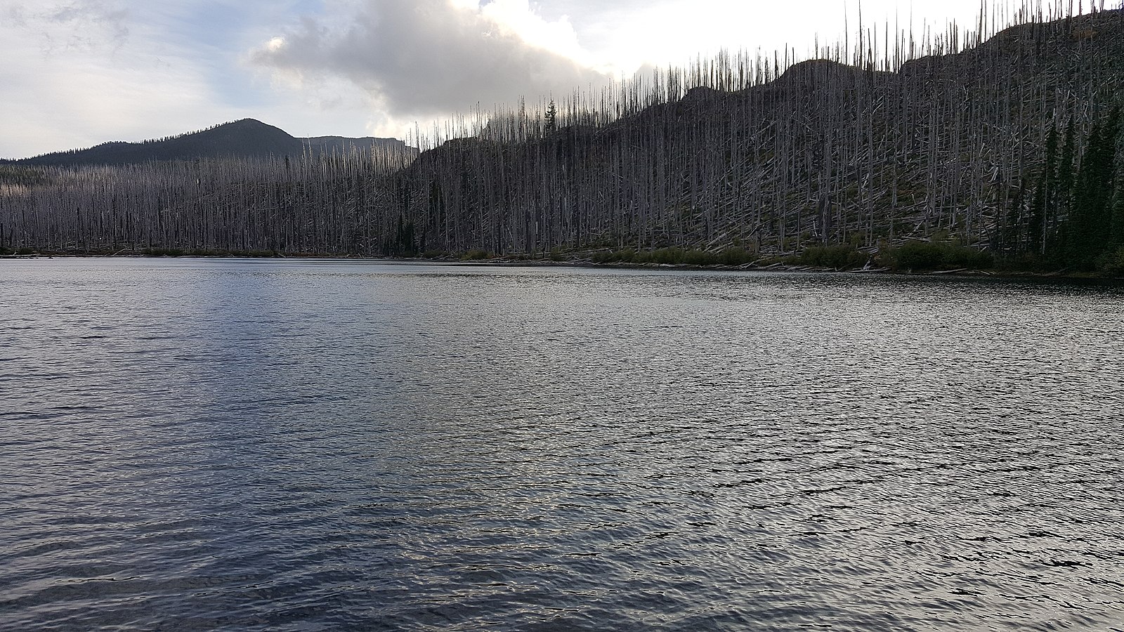 Lake 1. Река Бурея. Река Моркока. Моркока Якутия. Бурея Хабаровский край.