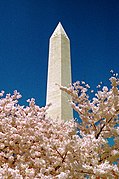 Washington Monument - Flickr - Jeff Kubina.jpg