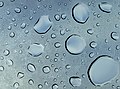 Image 384Water droplets on a car sunroof, Mansfield, Massachusetts, US