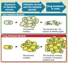 An illustrative diagram explaining drug resistance. WhatIsDrugResistance.gif