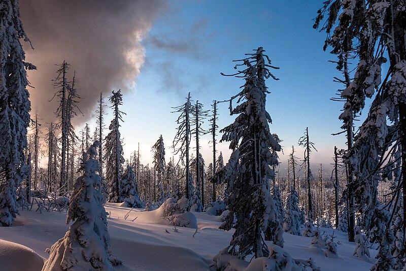 File:Winter auf der Brockenbahn im Harz (2).jpg