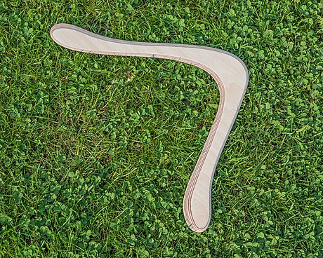 Wooden boomerang