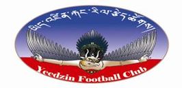 Yeedzin FC