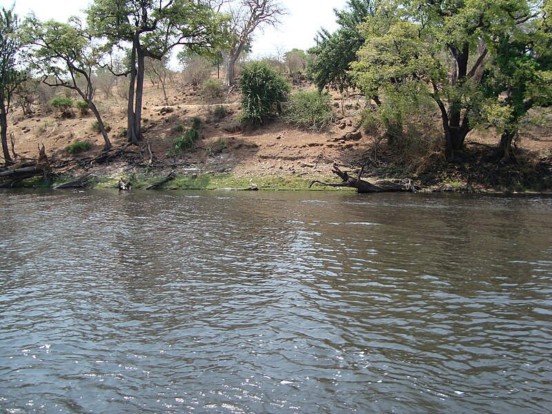 File:ZambeziBotswana 15.JPG