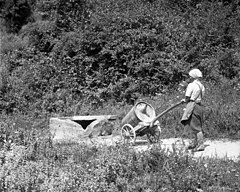 "B?č" pri Podgorici (skupen vodnjak), žena gre po vodo; na vozu sod z lejo 1949.jpg