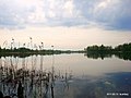 Драбніца версіі з 17:55, 24 лістапада 2016