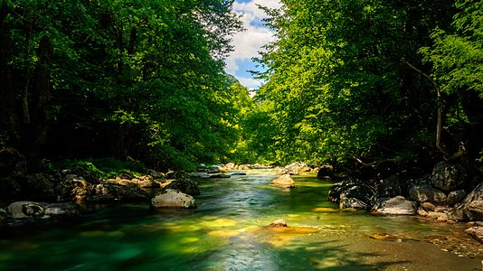 The Radika flowing in Macedonia