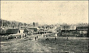 Общий вид переселенческого посёлка Унарского Егоровской волости Тарского уезда. 1916 год