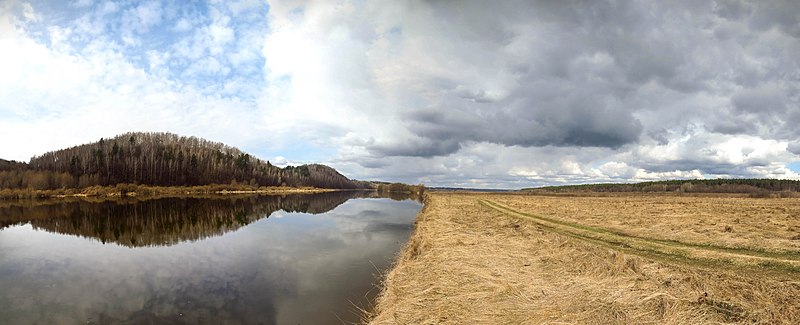 File:Р. Десна та луки між селами Розльоти та Радичів.jpg