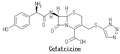 セファトリジン