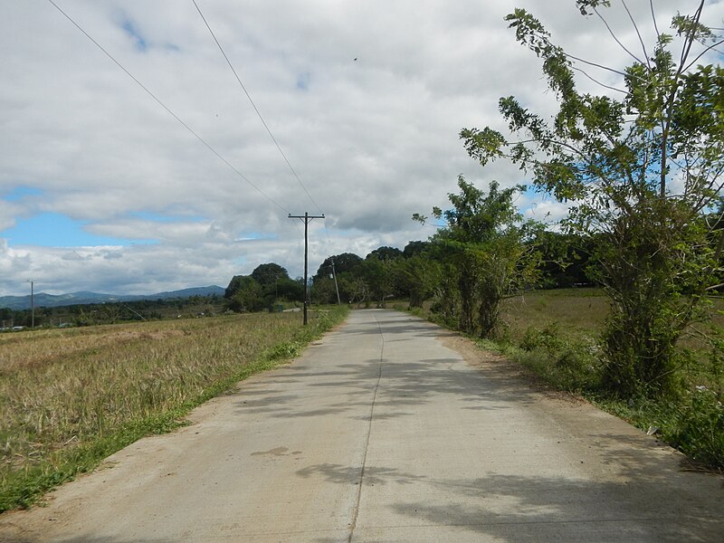 File:09127jfLandscape Maronquillo Pasong Callos San Rafael Bulacan Roadsfvf 28.JPG