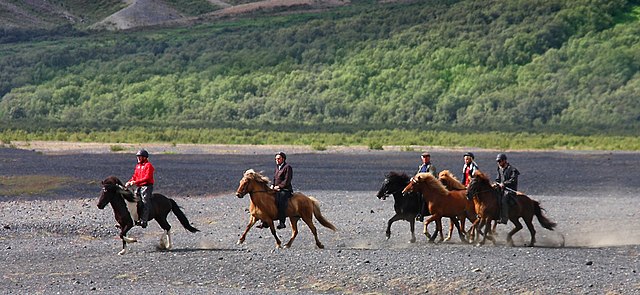 Equestrian tour on traditional local breed, Icelandic horses in Skaftafell mountains of Iceland