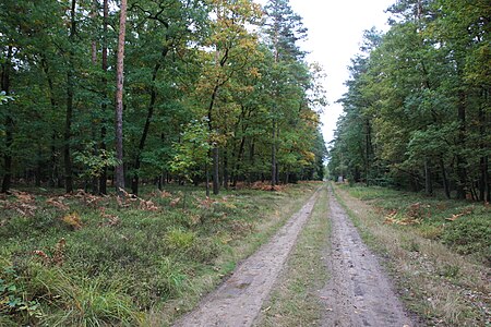 2013 Besucherkanzel Röthen 02