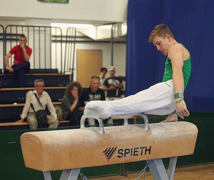 File:2019-05-25 Budapest Cup age group II all-around competition pommel horse (Martin Rulsch) 122.jpg