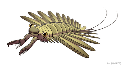 雙肢抱怪蟲（英语：Amplectobelua）（Amplectobelua symbrachiata），具有咀嚼式結構和兩條尾须。
