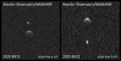 2020 년 BX12의 위성은 레이더 이미지에서 소행성과 분리 된 작고 길쭉한 물체로 나타납니다.