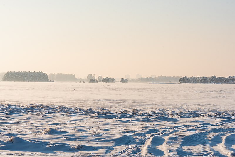 File:20221217 Südliche Fröttmaninger Heide Freezing fog 02.jpg