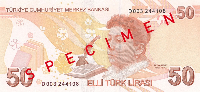 File:50 Türk Lirası reverse.jpg