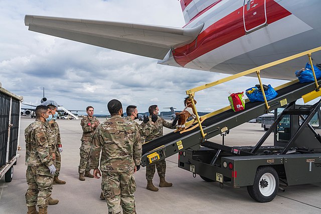 Members of the Wing's 721st Aerial Port Squadron load luggage onto an aircraft at Ramstein AB, Germany during Operation Allies Refuge in 2021