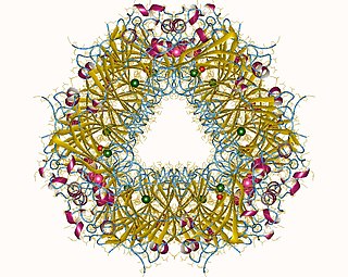 <span class="mw-page-title-main">Oxalate decarboxylase</span>