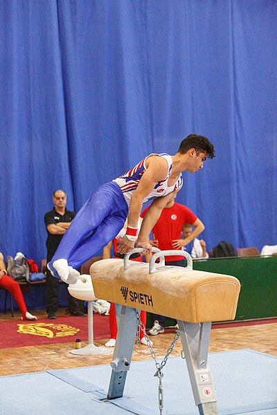 File:5th Budapest Cup 2019-05-25 Ali Altun (Norman Seibert) - 04805.jpg