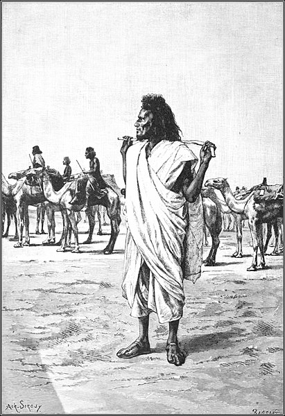 File:AFR V1 D008 Bishari camel-driver.jpg