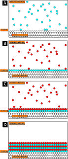 Atomic layer deposition