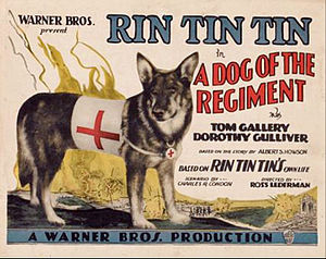 Rin Tin Tin