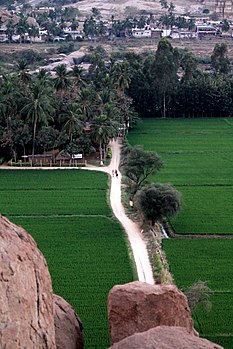 A view from the mountains at Hampi.jpg