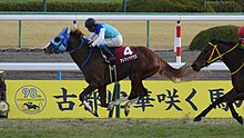 Admire Deus Nikkei Shinshun Hai 2015(IMG1).jpg