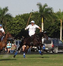 Cambiaso at the International Polo Club, 2016, wearing his distinctive helmet colors of Argentina Adolpho Cambiaso.jpg
