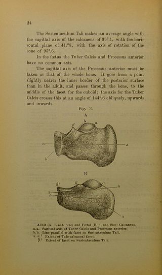 <span class="mw-page-title-main">Annie Clark (physician)</span> British physician