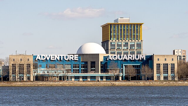 Image: Adventure Aquarium (53572702368)