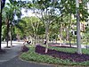 Pedestrianized street in the Alphaville center.