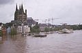 Raddampfer Rüdesheim