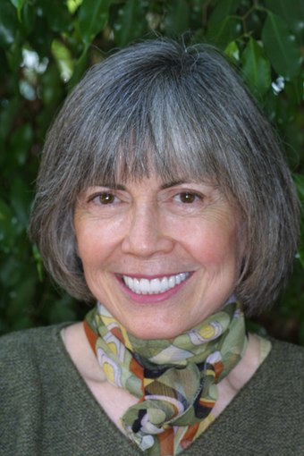 The Vampire Lestat by Anne Rice (pictured) served as Danny Rubin's initial inspiration for the script.