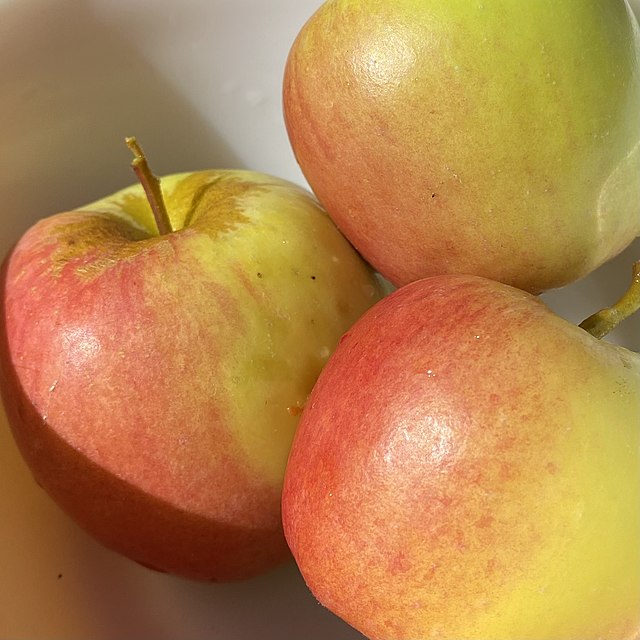 https://upload.wikimedia.org/wikipedia/commons/thumb/5/55/Apples_Golden_Dorsett_variety.jpg/640px-Apples_Golden_Dorsett_variety.jpg