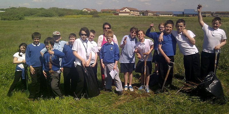 File:Ardeer Primary pupils - invasive plant control work.jpg