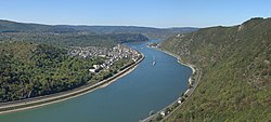 Blick vom Rheinsteig auf den Rhein