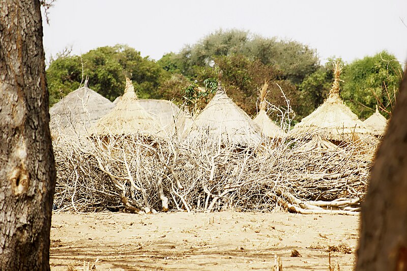 File:Background 2 in wudil villages.jpg