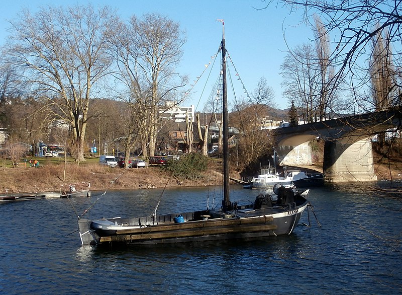 File:Bad Honnef Aalschokker Aranka 2014.jpg