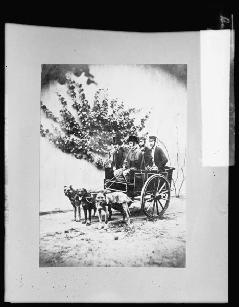 File:Belgium, peasants with dog cart LCCN2016826209.tif