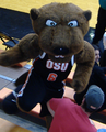 OSU mascot Benny Beaver