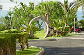 A Moon Gate in Bermuda