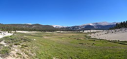 Big Whitney Meadow, the source of Golden Trout Creek