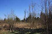 Impressionen aus dem Biospärenreservat Rhön an der hessisch-thüringischen Landesgrenze nahe Frankenheim/Rhön am Parkplatz "Westliches Rhönvorland"